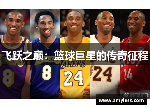 飞跃之巅：篮球巨星的传奇征程