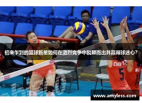 初来乍到的篮球新星如何在激烈竞争中脱颖而出并赢得球迷心？