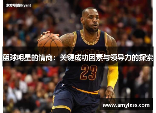 篮球明星的情商：关键成功因素与领导力的探索