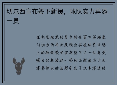 切尔西宣布签下新援，球队实力再添一员